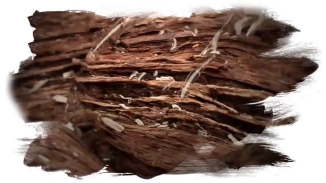 Термальная вода Avène - Я УНИКАЛЬНОСТЬ смотреть онлайн