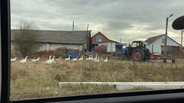 Мои выходные|Уютный осенний влог???? смотреть онлайн