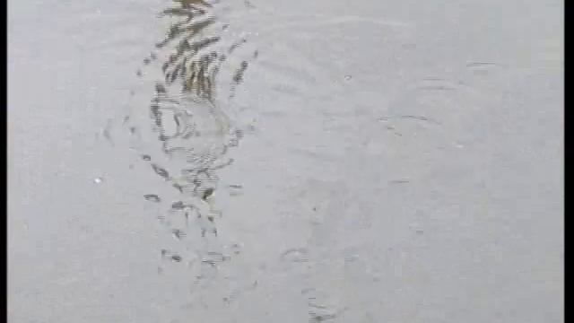 погода 1 сентября смотреть онлайн