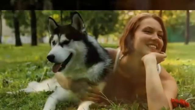 Песня про собаку. смотреть онлайн