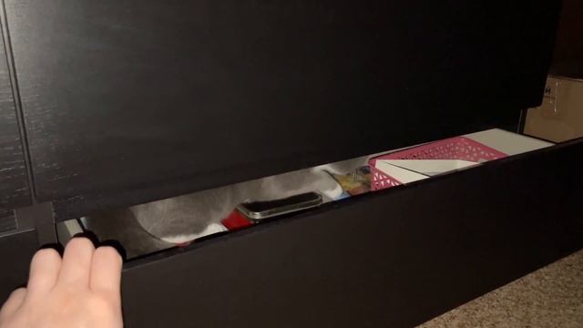 СОБИРАЮ ВЕЩИ | ДЕЛОВОЙ ДЕНЬ | БЕРУ ВАС НА СЪЕМКУ | ПЬЮ АНТИБИОТИКИ | ОБЗОР ДОСТАВКИ