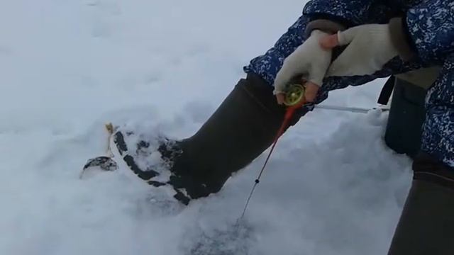 Глухозимье - миф.Глухозимья - нет.Просто надо..... смотреть онлайн
