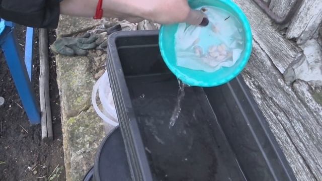 Бройлеров убрали, Утят на Улицу! Мой Огород и Новый Забор