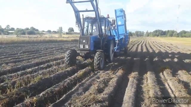 Первая Уборка Картофеля В Беларуси - 2021 Год Anna z-644 и Мтз 82.1 смотреть онлайн