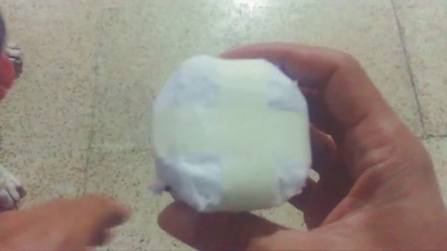 Astrophytum Asterias variegated Plant Haul смотреть онлайн