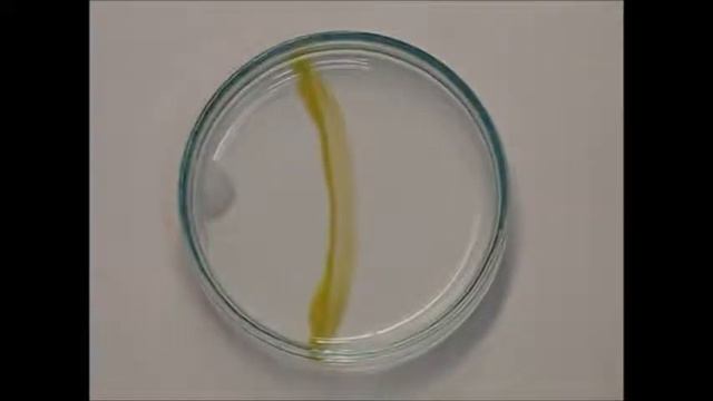 KI + Pb(NO3)2 = 2 KNO3 + PbI2 смотреть онлайн