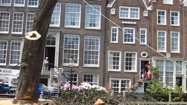 Kastanje Begijnhof Amsterdam wordt geveld смотреть онлайн