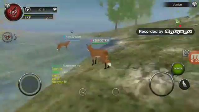 Игра в животных смотреть онлайн