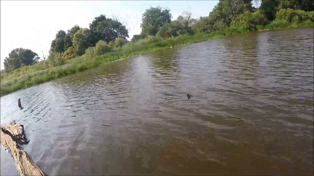 Ловля щуки.Донные удочки. Отпуск2022. Река Припять.Часть3. смотреть онлайн