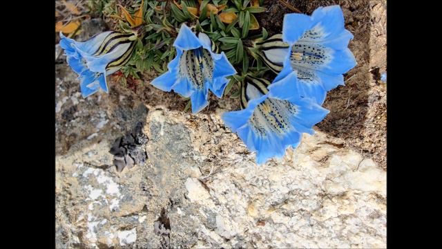 Большой Гималайский Поход 2022. Часть 7 смотреть онлайн