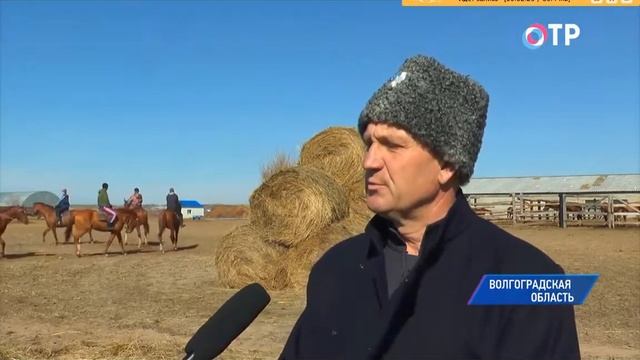 Казачий к/з смотреть онлайн