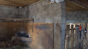 Вентиляция в коровнике .