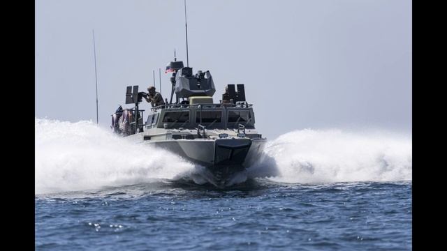 РЕЧНОЙ БОЕВОЙ ФЛОТ РОССИИ: ЕСТЬ ЛИ ОН ВООБЩЕ? смотреть онлайн