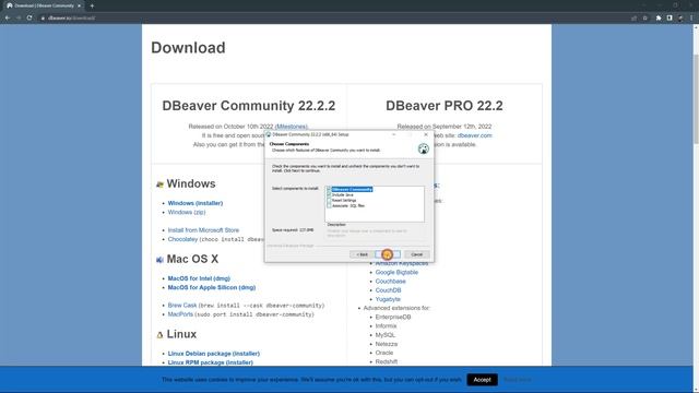 Hướng dẫn cài đặt DBeaver để làm việc với database kèm link download смотреть онлайн