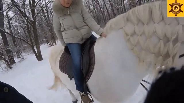 Начало шаговой прогулки конный клуб Мустанг смотреть онлайн