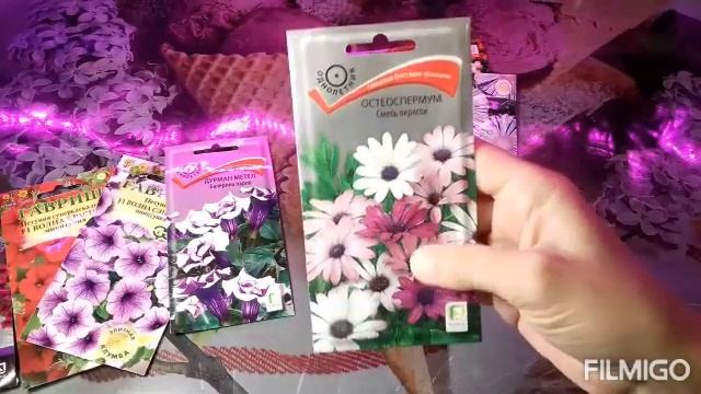 Семена цветов на 2022 год / вторая партия / и чуток остатков с прошлого года смотреть онлайн