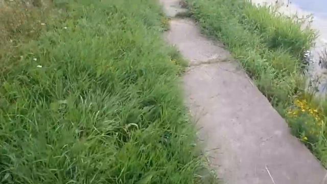 Я его все таки взял !!! Лещ на флет фидер. #рыбалка #флетфидер #лещнафидер смотреть онлайн