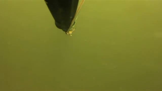 лоббики смотреть онлайн