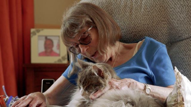 Outstanding Rescue Cat finalist Murdoch | National Cat Awards 2022 | Cats Protection смотреть онлайн