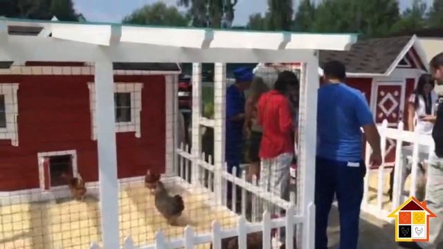 Мини комплекс "Курятник и козлятник" смотреть онлайн