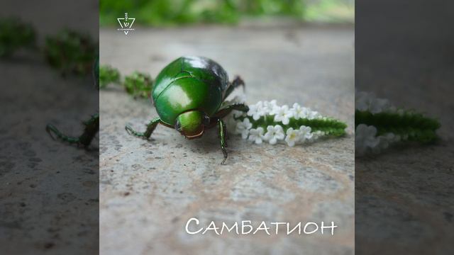 А Я ИДУ / A YA IDU (Ben-Canar) смотреть онлайн