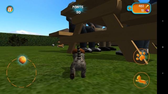 Обзор на игру Cat Simulator ? смотреть онлайн