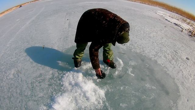 РЫБАЛКА НА ТОБОЛЕ НА ХАЛВАЕ НА ЖЕРЛИЦЫ! ЩУКА КЛЮЁТ, ЖИВЕЦ КЛЮЁТ, ТО ЧТО НАДО, КРАСОТА ДА И ТОЛЬКО! смотреть онлайн