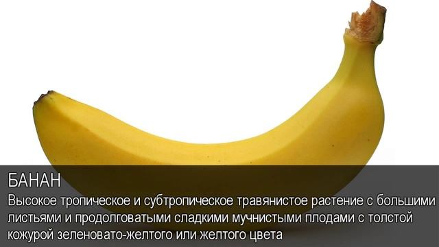 Банан. Толковый Видеословарь русского языка смотреть онлайн