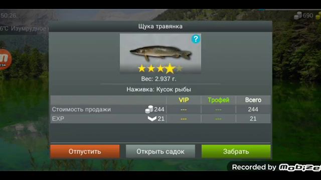 Как фармить деньги и опыт новичку в My Fishing World