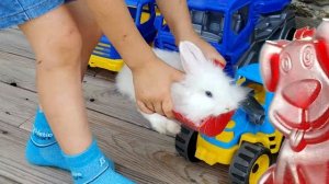 Зайчик-водитель мечтает путешествовать вместе с желейным псом Стасиком.