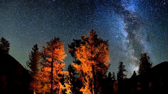 Судьба. Судьба человека. Дерево Судьбы. смотреть онлайн