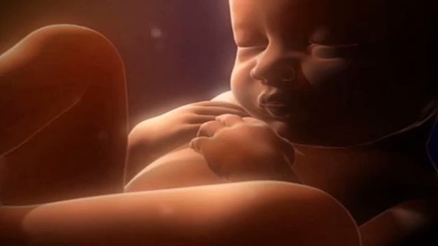 Звуки в утробе матери для сна малыша.Sounds In The Womb To Calm And Sleep The Baby