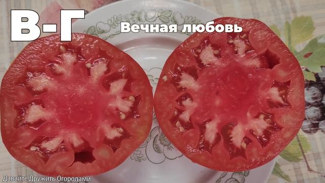 Томаты на букву В и Г. ПОЛНЫЙ ОБЗОР. ОТ А ДО Я смотреть онлайн