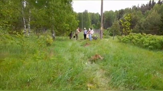 ПОСАДКА ЛЕСОСАДОВ. Экологическая инициатива ПОСАДИ ДЕРЕВО ! смотреть онлайн