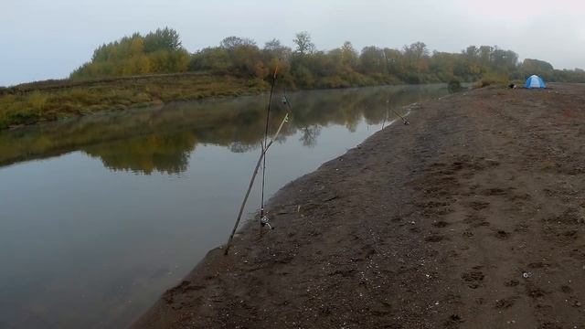 Рыбалка р.ЧЕПЦА с ночёвкой ловля налима. смотреть онлайн