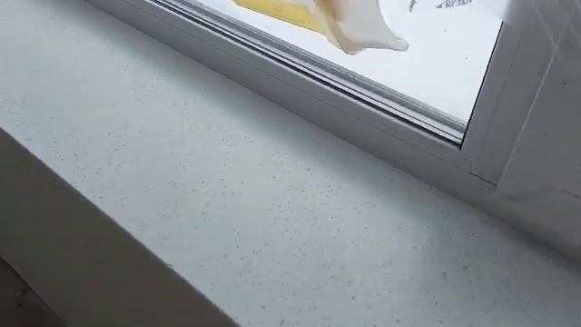 STARON - Подоконники из Искусственного Камня ☎️ +7(495) 762-64-72 смотреть онлайн