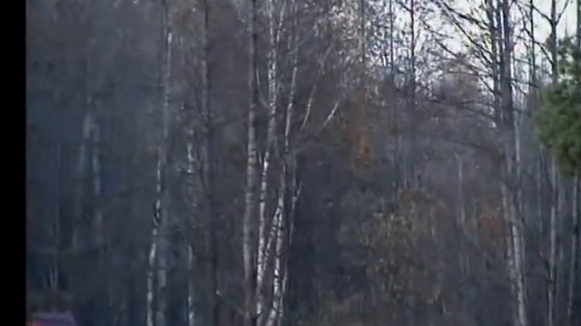 Дивовижа у сарненському Лінчині смотреть онлайн