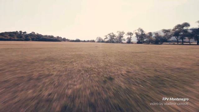 ReelSteady GO - Rock music - QAV r 2 and TBS tango 2 смотреть онлайн