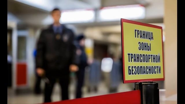 Правовые аспекты прохождения досмотра на общественном транспорте (теоретическая часть). смотреть онлайн