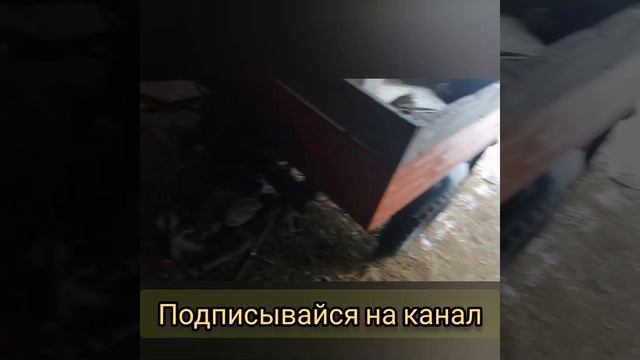 Муравей готов починил ? смотреть онлайн