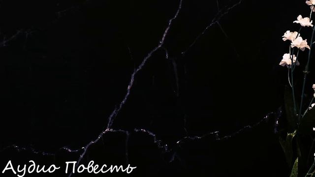 Спустя много лет он пришёл к ней чтобы попросить прощения, но от точно что там увидел… смотреть онлайн