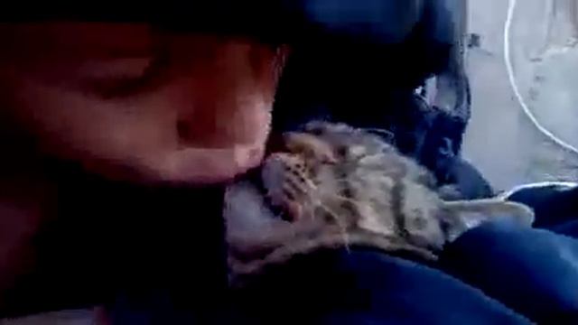 Как правильно целоваться!КОТ ВАСЯ И ВАСЯ хД - YouTube смотреть онлайн