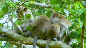 Fully milk... Lovely mum Jane won't weaning Janna anytime soon, Janna so luck she still get milk