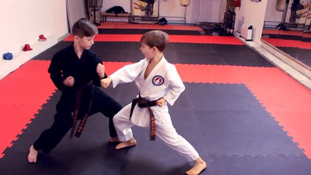 Кихон Иппон Кумитэ Некоторые пояснения