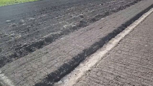 Что мы сажаем на огороде смотреть онлайн