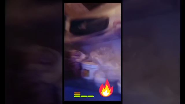 наш класс представляет! видео с холодильником чтоооо?