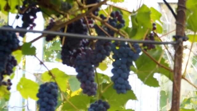 Амурский прорыв 2014_2 смотреть онлайн