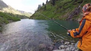 Крупный Хариус в Горном Алтае Улётная Рыбалка  Fishing