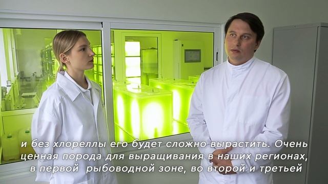 Топ-3 частых вопроса о хлорелле от компании Альготек. Хлорелла для очистки водоема. смотреть онлайн