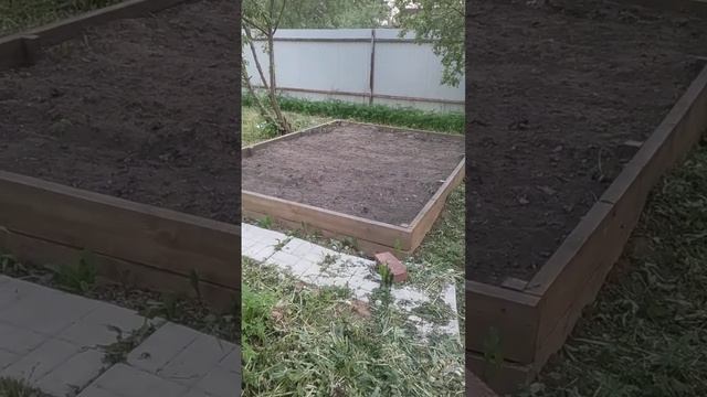Все удачные способы посадки картофеля . Картофель рассадой . Лучшие сорта. смотреть онлайн